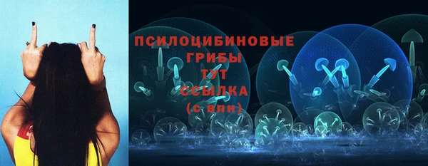 бутик Гусь-Хрустальный